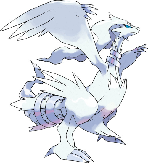 Pok mon Noir et Blanc Capturer Reshiram